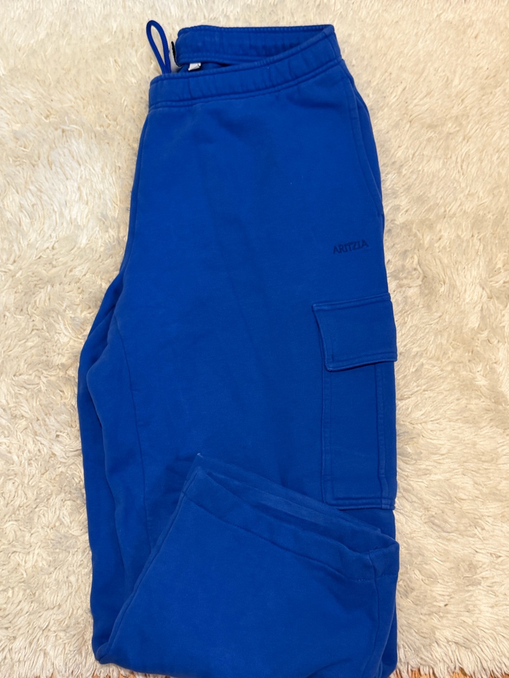 Aritzia Blue Cargo Sweatpants
